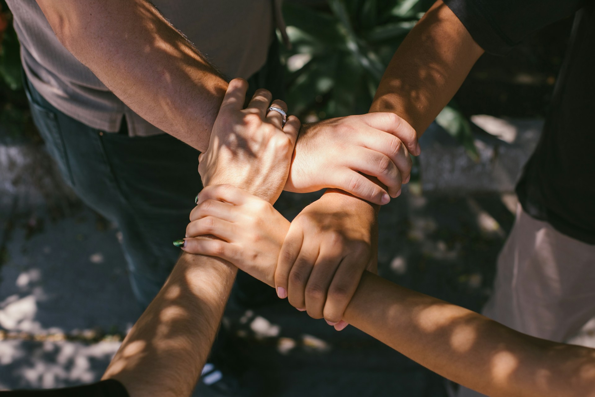 Як розпізнати ознаки толерантності у суспільстві?